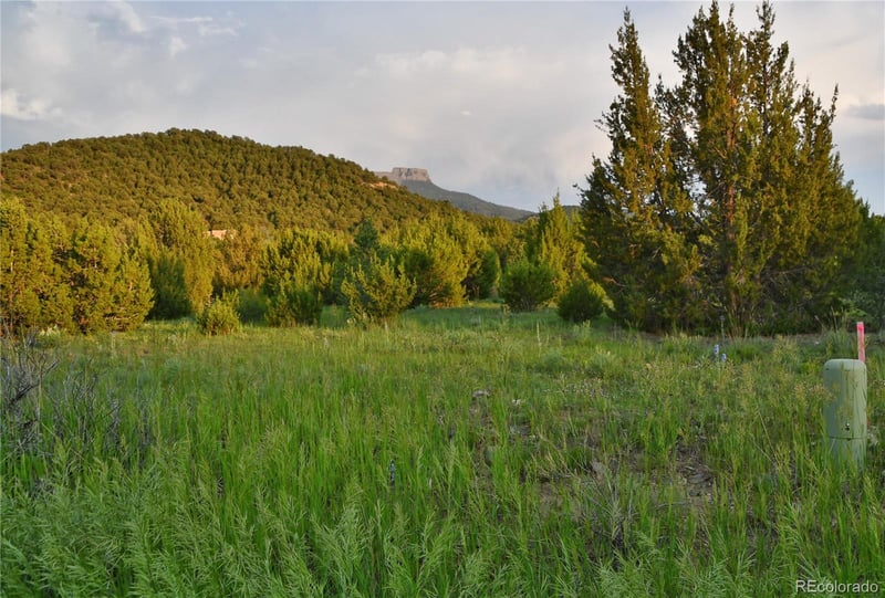 406 Riata Dr, Trinidad, CO 81082