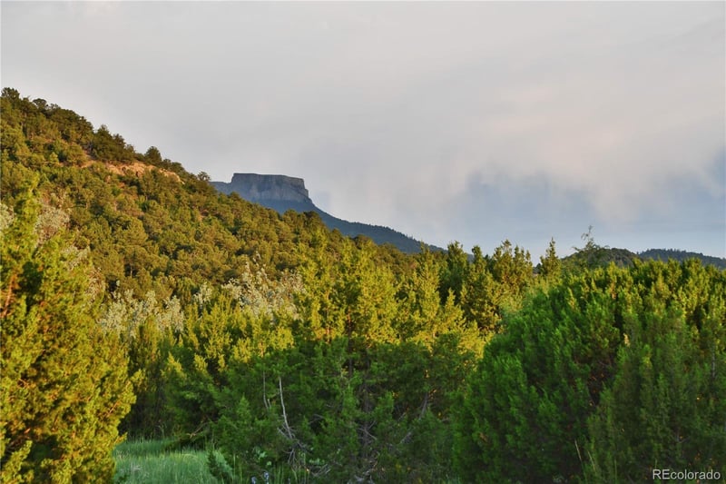 406 Riata Dr, Trinidad, CO 81082