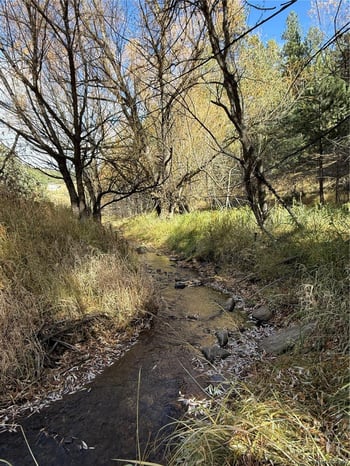 7438 S Turkey Creek Rd, Morrison, CO 80465
