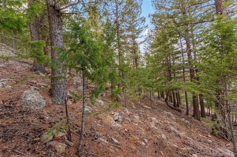 000 Upper Moss Rock Rd, Golden, CO 80401