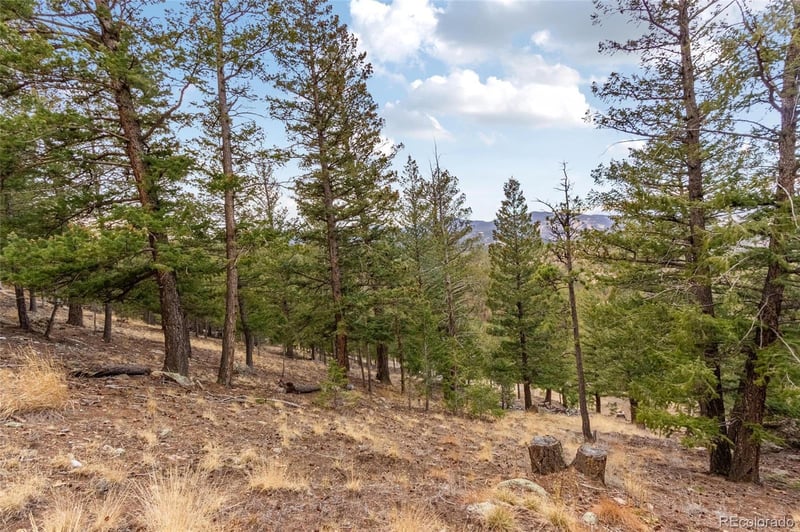 000 Upper Moss Rock Rd, Golden, CO 80401