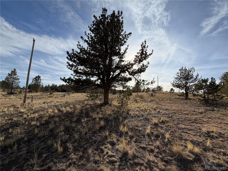 Mesa Ave Lot 1, 2, 58, Hartsel, CO 80449