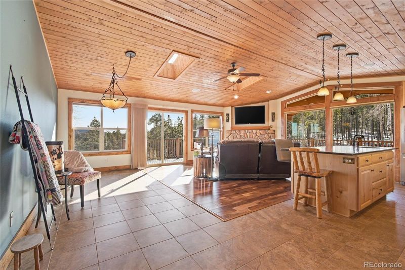 8790 S Warhawk Rd, Conifer, CO 80433
