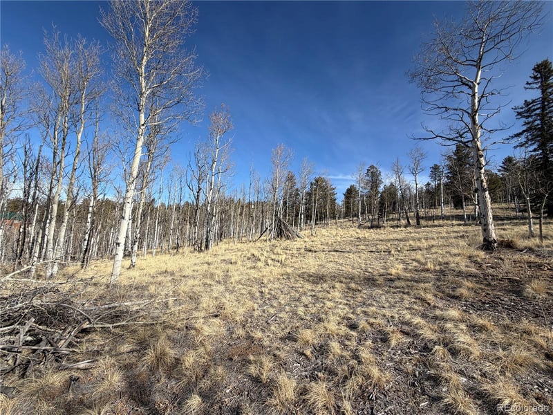 32 Sugar Loaf Ln Lot 160, Jefferson, CO 80456