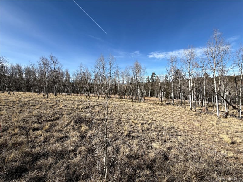 32 Sugar Loaf Ln Lot 160, Jefferson, CO 80456