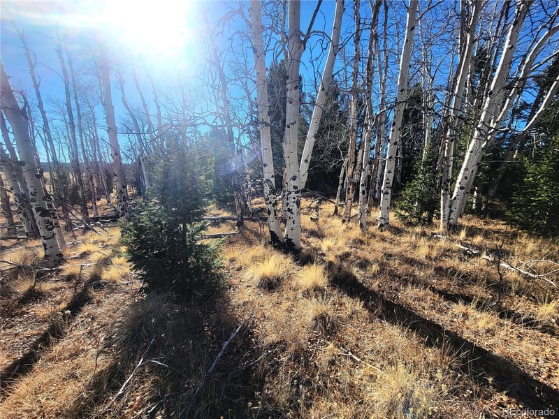 8802 Ranch Rd, Hartsel, CO 80449