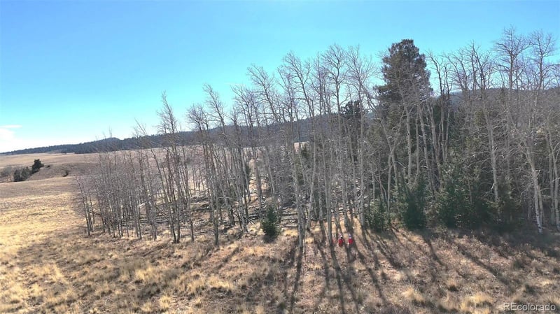 8802 Ranch Rd, Hartsel, CO 80449