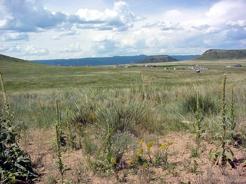 Lot 7 Twin Buffs Rd, Larkspur, CO 80118