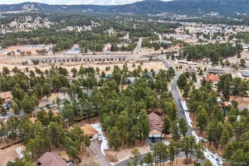 109 Flagstick Dr, Woodland Park, CO 80863