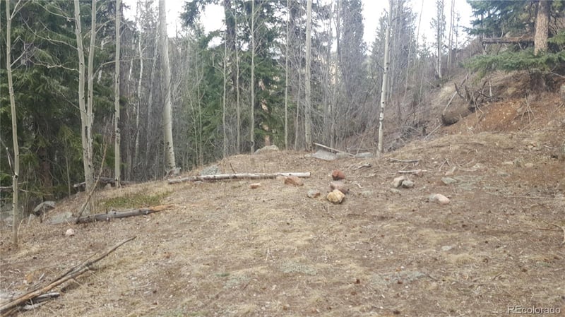 0 Ohio Gulch Trl, Dumont, CO 80436