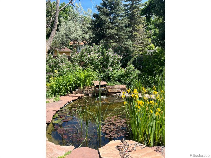 606 Marigold Ln, Fort Collins, CO 80526