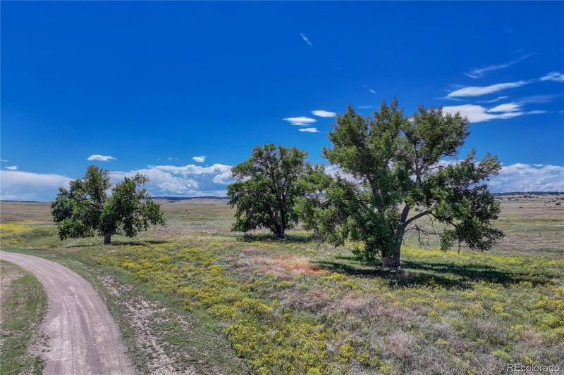 Fiddleback Ranch Rd, Kiowa, CO 80117