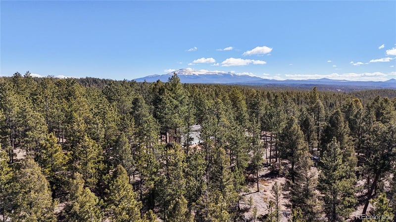 509 John Dr, Divide, CO 80814