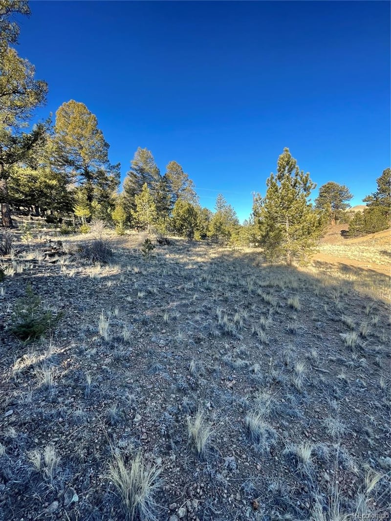00 Tarryall Rd Lot 21, Hartsel, CO 80449