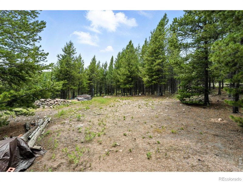 754 Mescalero Dr, Red Feather Lakes, CO 80545