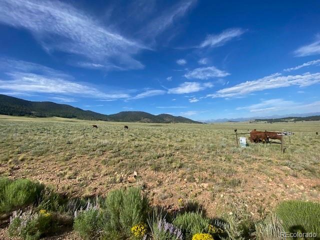 Eagle's Gate Rd, Westcliffe, CO 81252