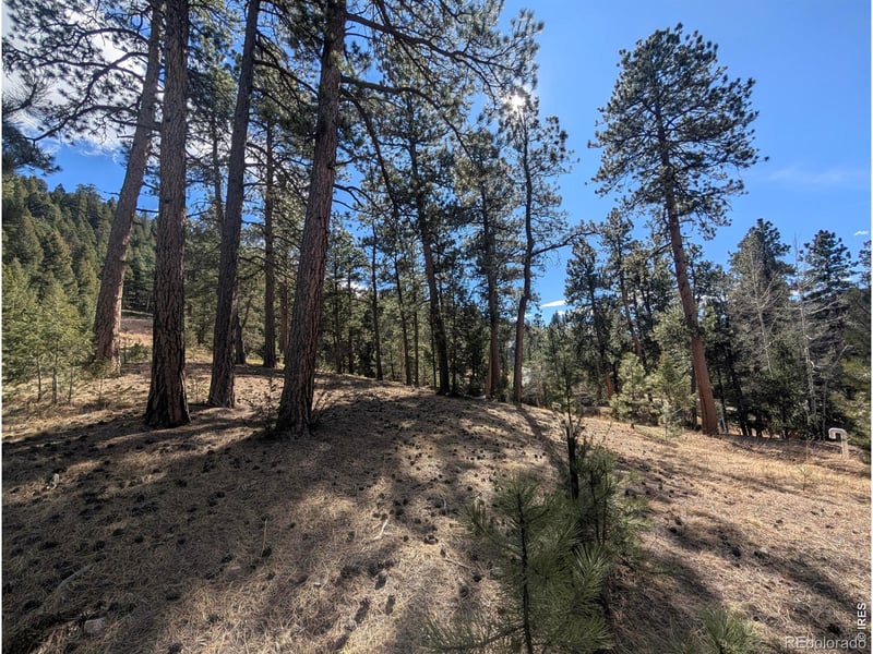 7000 7022 Blue Creek Rd, Evergreen, CO 80439