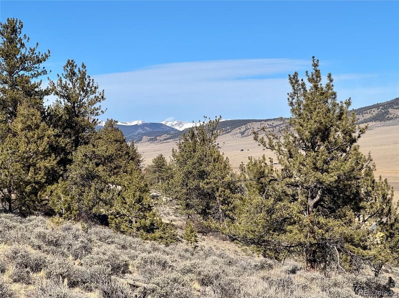 25 Redhill Ct Lot 490, Fairplay, CO 80440