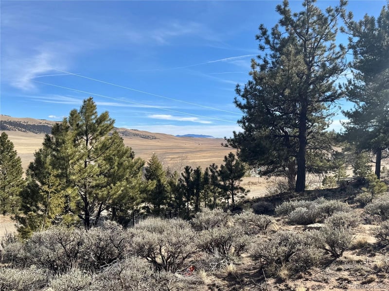 25 Redhill Ct Lot 490, Fairplay, CO 80440
