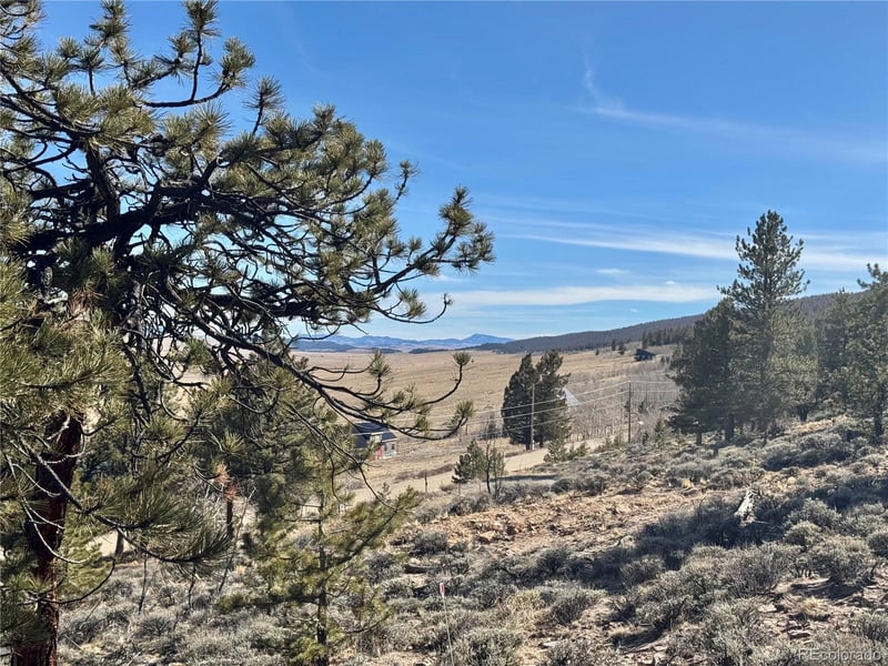 25 Redhill Ct Lot 490, Fairplay, CO 80440