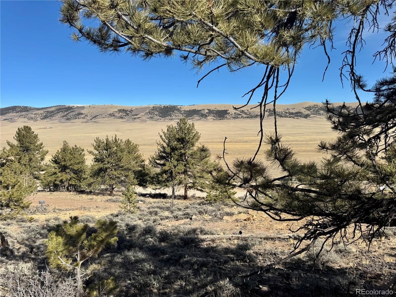 25 Redhill Ct Lot 490, Fairplay, CO 80440