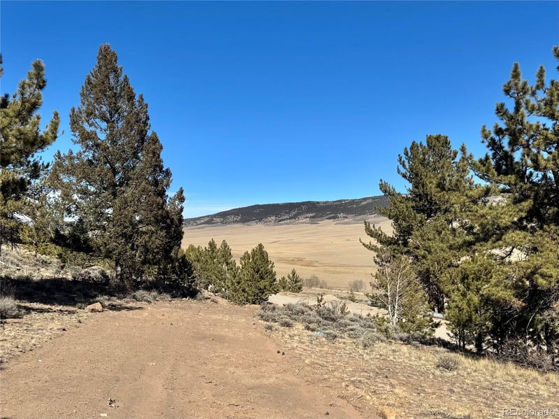 25 Redhill Ct Lot 490, Fairplay, CO 80440