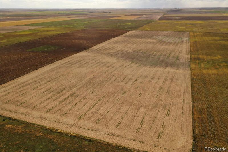 County Road 21, Seibert, CO 80834