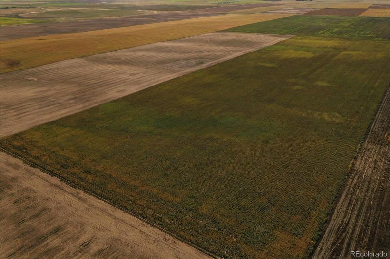 County Road 21, Seibert, CO 80834
