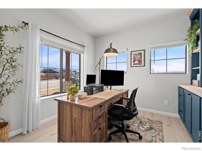 240 Hillspire Dr, Windsor, CO 80550