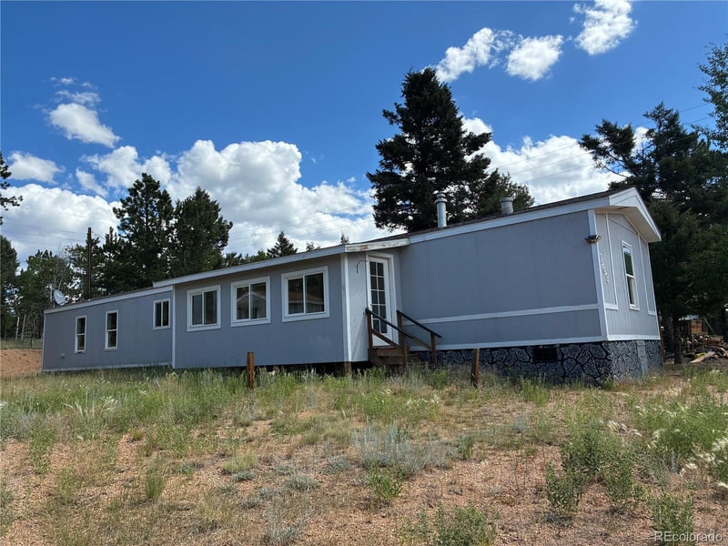 169 Daisy St, Woodland Park, CO 80863