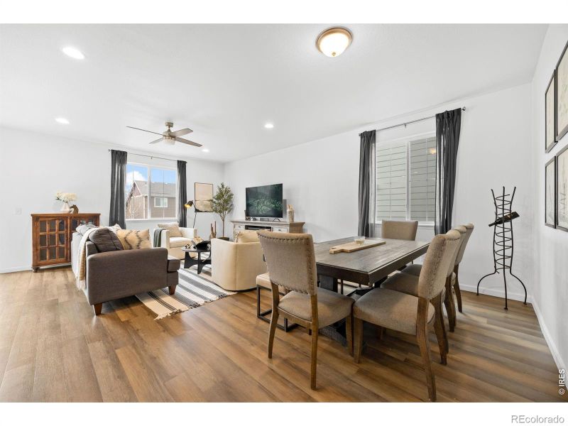 1776 Branching Canopy Dr, Windsor, CO 80550