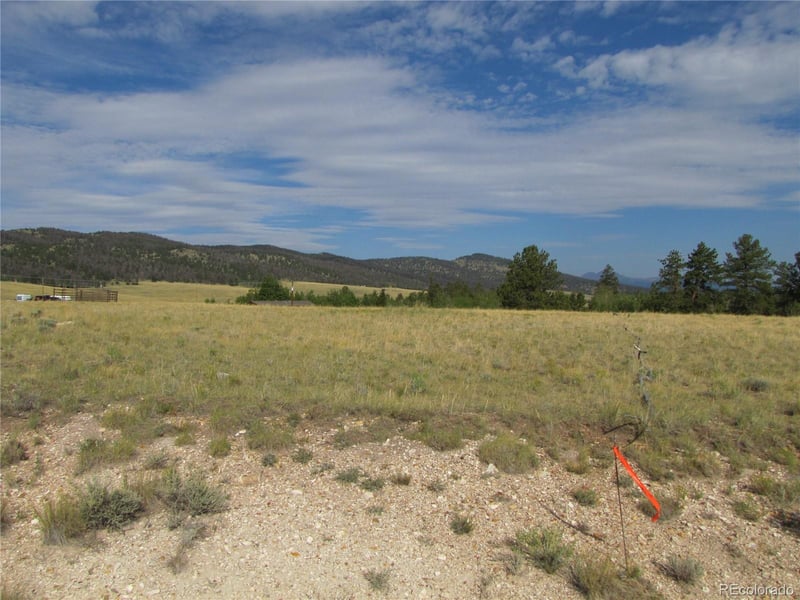 1250 Bolster Dr, Hartsel, CO 80449