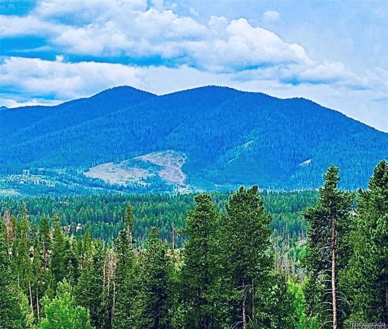 797 Fawn Dr, Tabernash, CO 80478