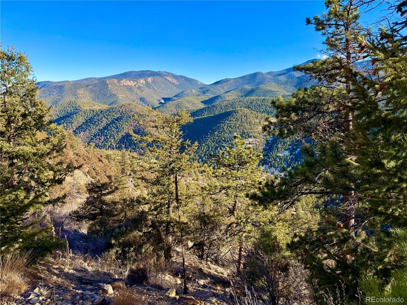 1961 Fools Gold Rd, Idaho Springs, CO 80452