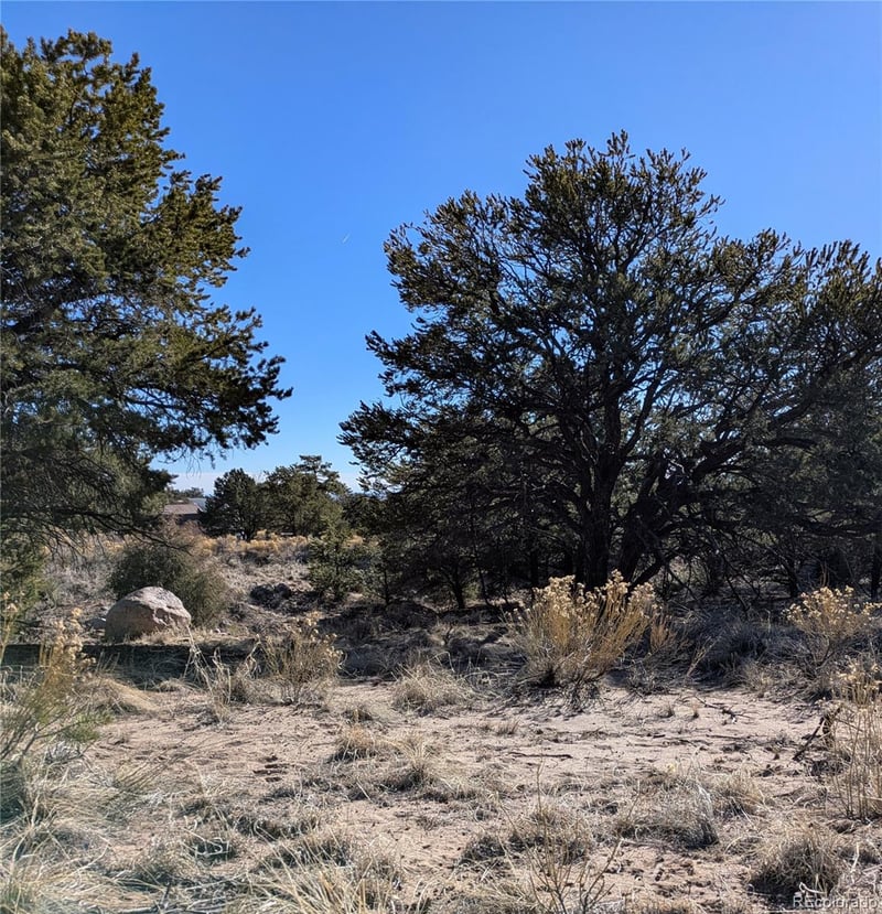 1393 Spanish Ruins, Crestone, CO 81131