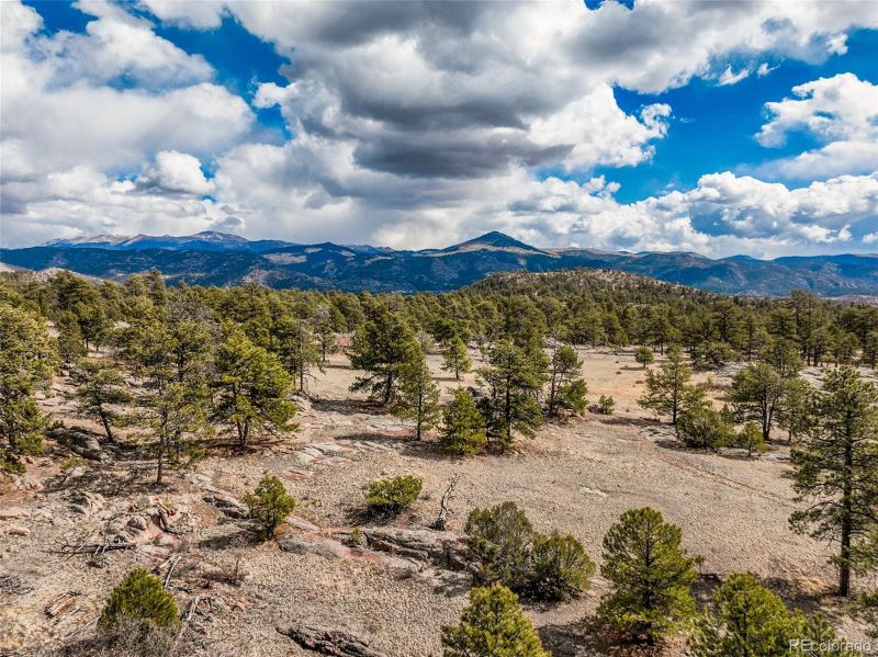 54 Ute Cir, Florissant, CO 80816