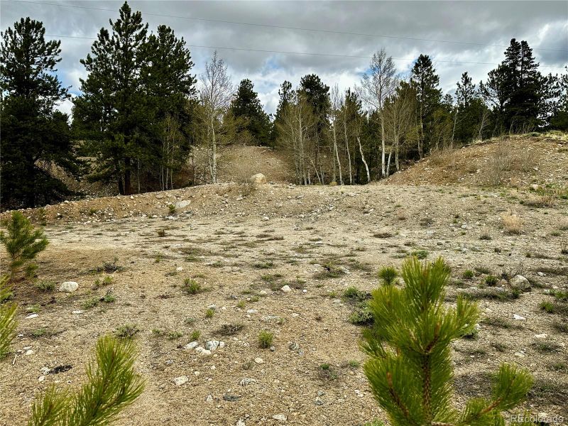 9 Mount Hope Dr Lot 312, Twin Lakes, CO 81251