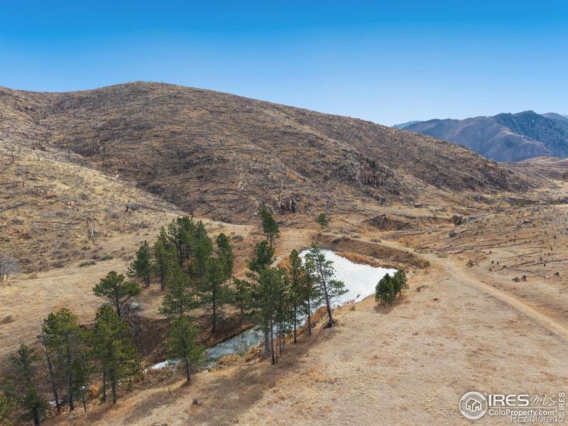 2441 Star View Dr, Livermore, CO 80536