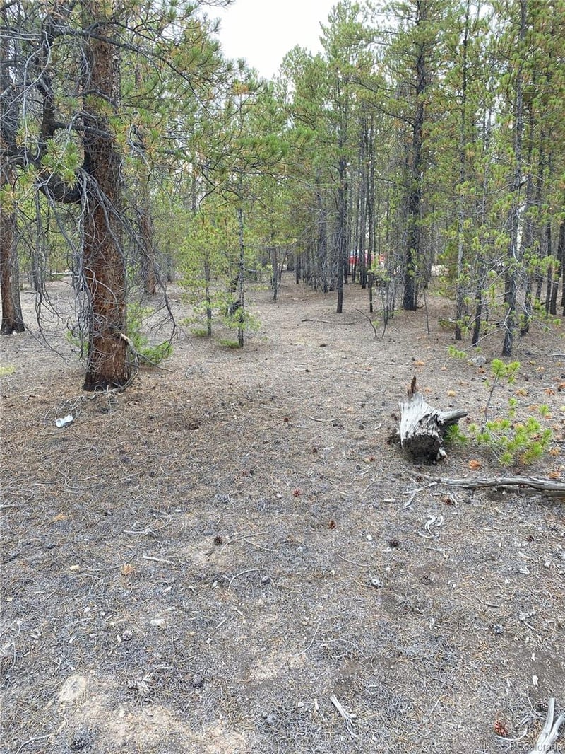 340 Peak View Dr, Twin Lakes, CO 80461