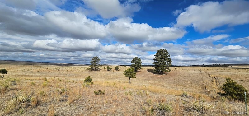 23895 County Road 144 Lot 1, Agate, CO 80101