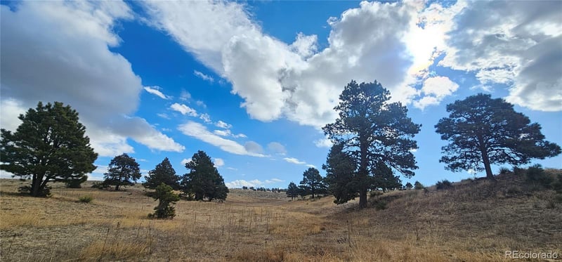 23895 County Road 144 Lot 1, Agate, CO 80101