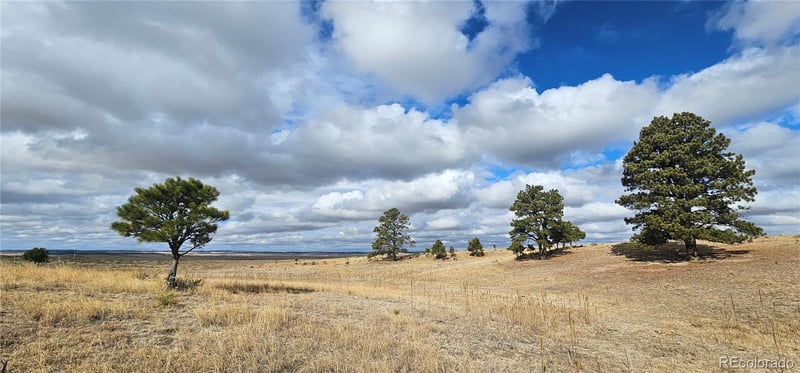 23895 County Road 144 Lot 1, Agate, CO 80101