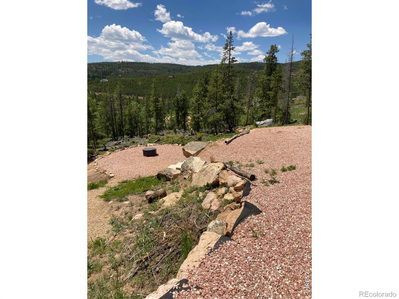 717 Micmac Dr, Red Feather Lakes, CO 80545