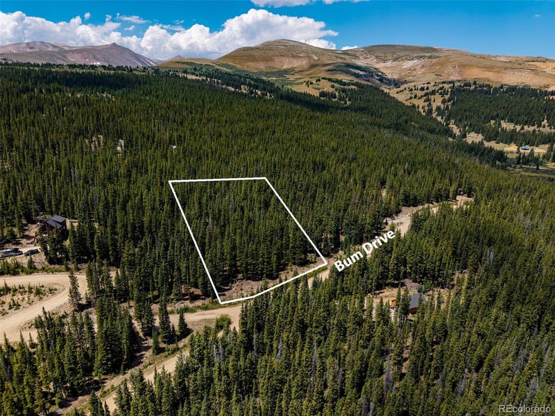 345 Bum Dr Lot 887, Fairplay, CO 80440