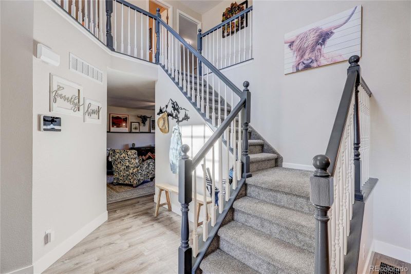 3769 Black Feather Trl, Castle Rock, CO 80104