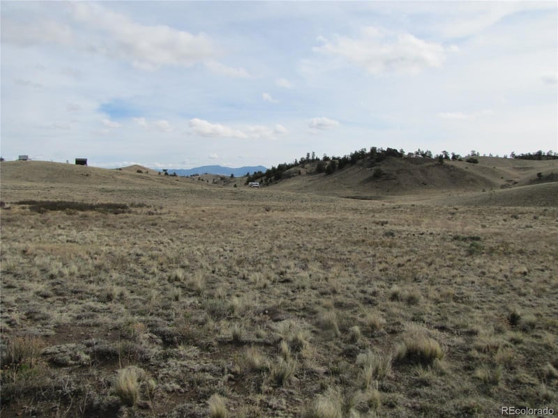 487 Falcon Rd, Hartsel, CO 80449