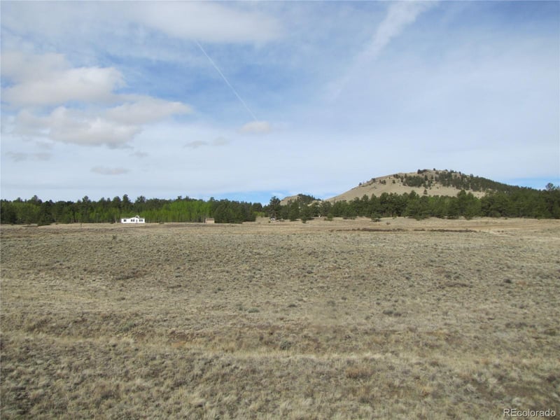 487 Falcon Rd, Hartsel, CO 80449