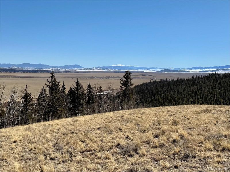 1872 High Creek Rd Lot 061, Fairplay, CO 80440