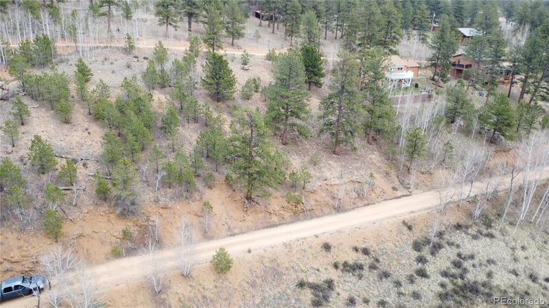381 Neish St, Bailey, CO 80421