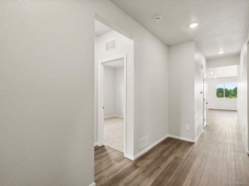 1597 Colorado River Dr, Windsor, CO 80550